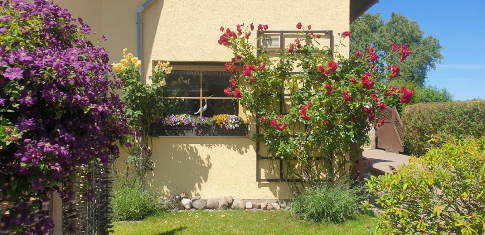 Ostseeferien In Lichtenhagen-Dorf Ferienwohnung Elmenhorst/Lichtenhagen 외부 사진