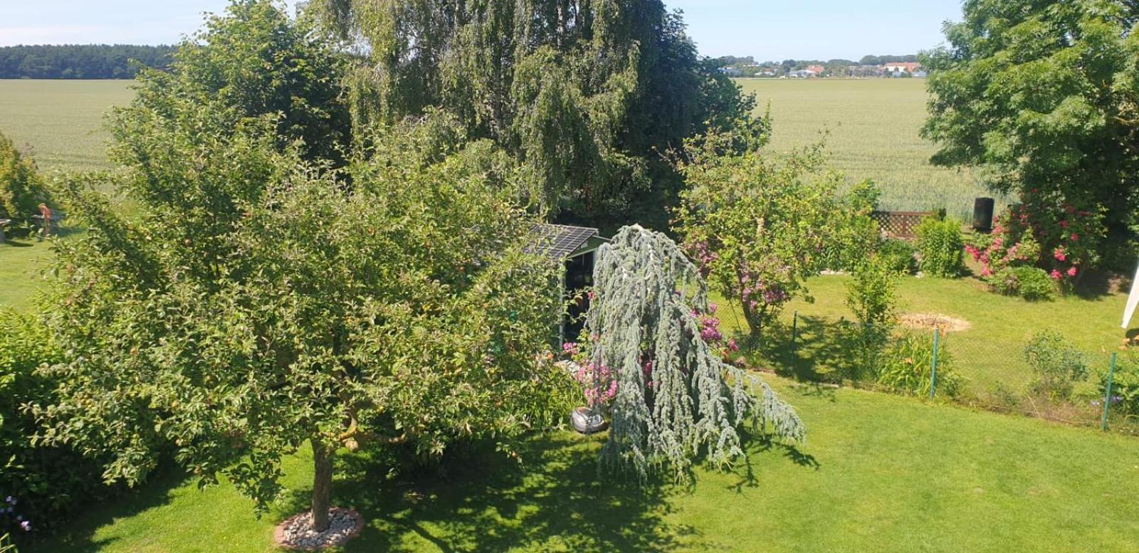Ostseeferien In Lichtenhagen-Dorf Ferienwohnung Elmenhorst/Lichtenhagen 외부 사진