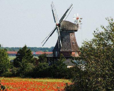 Ostseeferien In Lichtenhagen-Dorf Ferienwohnung Elmenhorst/Lichtenhagen 외부 사진