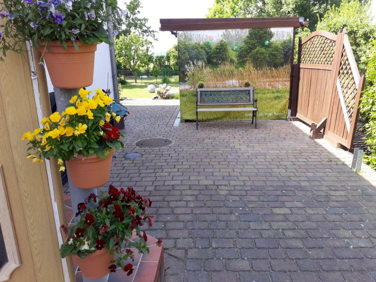 Ostseeferien In Lichtenhagen-Dorf Ferienwohnung Elmenhorst/Lichtenhagen 외부 사진